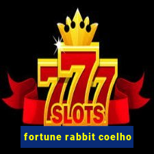 fortune rabbit coelho